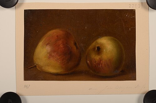 Olieverfschilderij van twee peren, , Jacob de Bleyker (sr.)