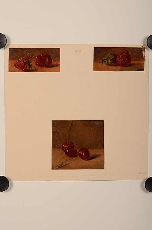 Olieverfschilderijen van drie fruitstudies, , Jacob de Bleyker (sr.)