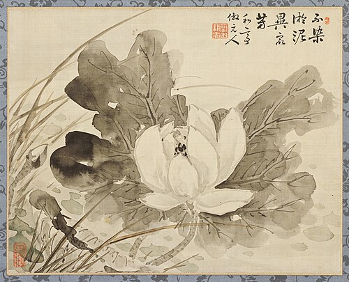 Lotus in Bloom, , Katei Taki