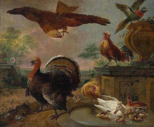 A Turkey and other Fowl in a Park, 1710, Jan Griffier