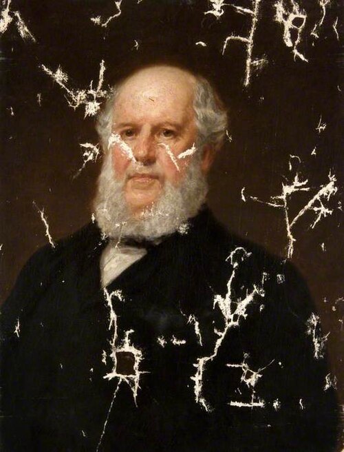 Robert Dalglish (1808–1880), MP, 1874, Daniel Macnee