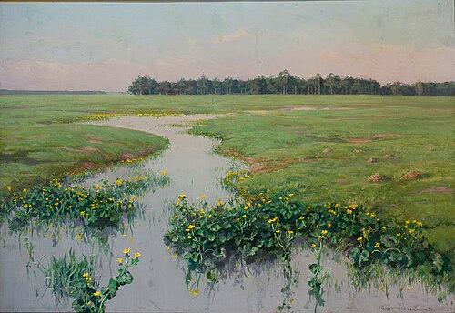 Cowslips, 1927, Józef Rapacki