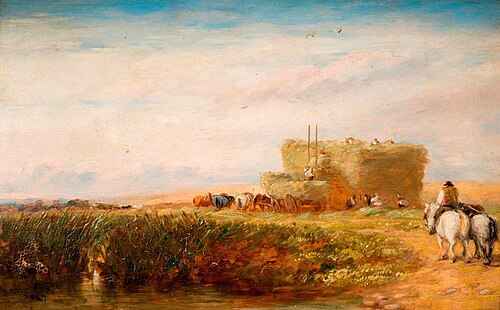 The Hayfield, 1847, David Cox