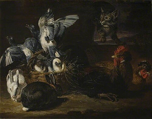 Poultry and Cat, , David de Koninck