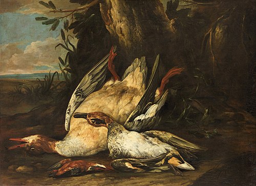 Tote Wildenten, 1696, David de Koninck