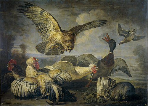 Un milano y varias aves, 1601, David de Koninck