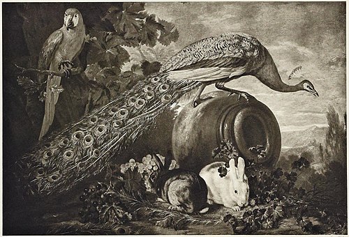 Peacock, Parrot and Rabbit, 1680, David de Koninck