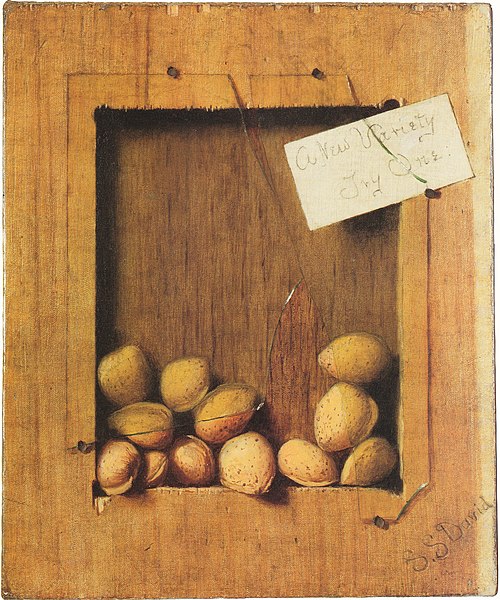 A New Variety, Try One, 1890, De Scott Evans