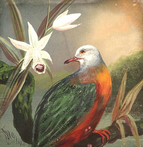 Exotic Bird on Branch and Flowers, 1912, Denham Jordan