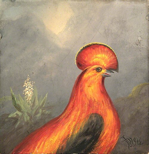 Exotic Bird, 1912, Denham Jordan