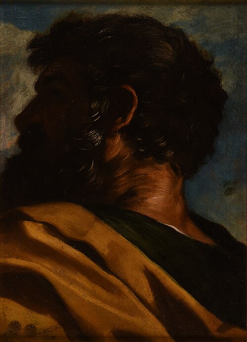 Tête d'homme, 1650, Pier Francesco Mola