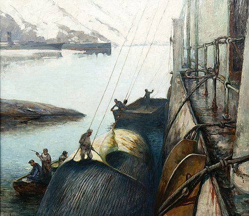 Flensing av blåhval, Whalers Bay, Deception Island, 1926, Carl Dørnberger