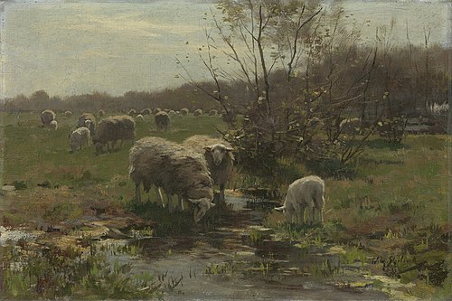 Sheep on the heath at Lunteren, 1895, Willem Steelink