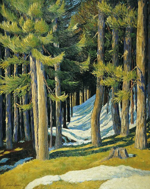 Last snow / Forest in winter, , Hugo Baar