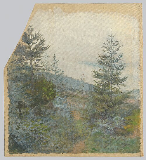 Spruces, 1850, Jan Nowopacký