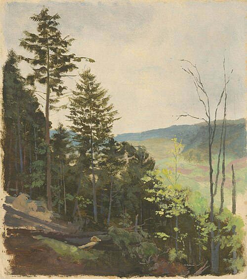 Scrub Hill, 1850, Jan Nowopacký