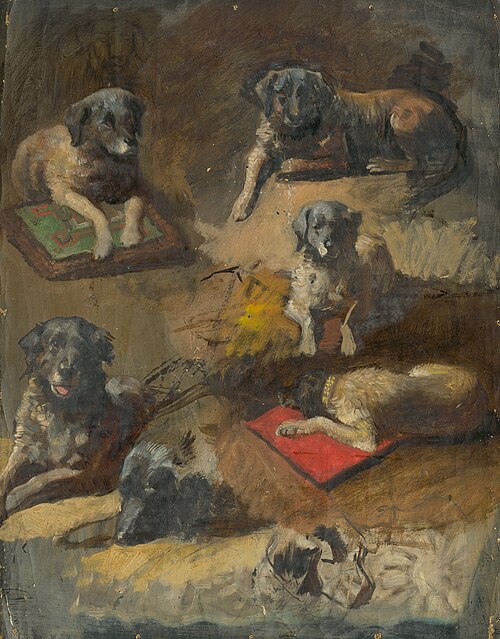Study of a Dog, 1860, Jan Nowopacký