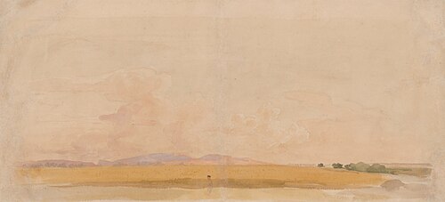 Field, , Jan Novopacky