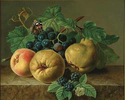 Still life with fruit, 1829, Christina Gerarda Enschedé