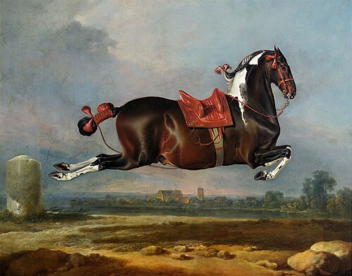 Kladruber Hengst "Cerbero" in der Kapriole, 1721, Johann Georg Hamilton