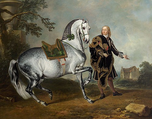 Kladruber Hengst "Scarramuie" mit einem Bereiter, 1721, Johann Georg Hamilton