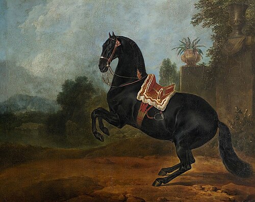 Rappe in der Levade, 1721, Johann Georg Hamilton