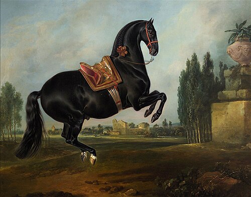 Kladruber Hengst "Gitano", 1721, Johann Georg Hamilton