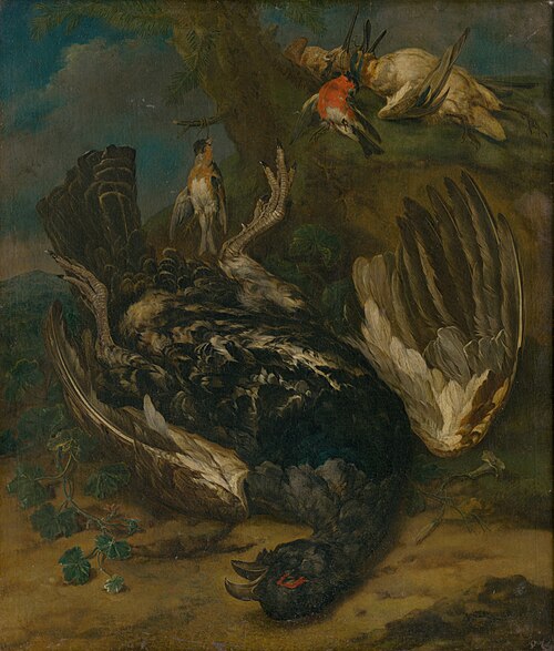 Zátišie s hlucháňom, 1720, Johann Georg Hamilton