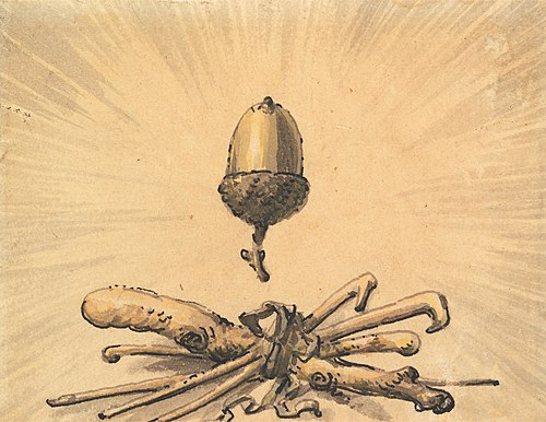 Acorn Strength, , Julius Ibbetson