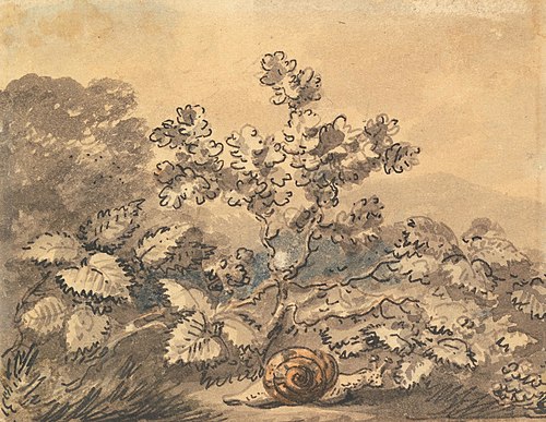 Supported by a Bramble, , Julius Ibbetson