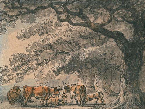 Shelter for Cattle, , Julius Ibbetson