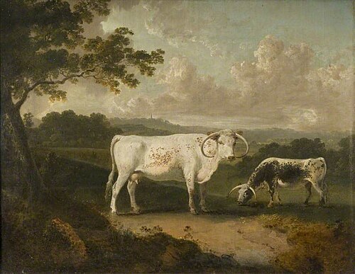 Kenwood, Lord Mansfield's Pedigree Cattle, 1797, Julius Ibbetson