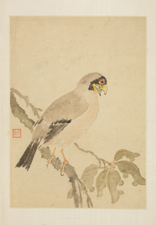 马元驭花鸟册, , Ma Yuanyu