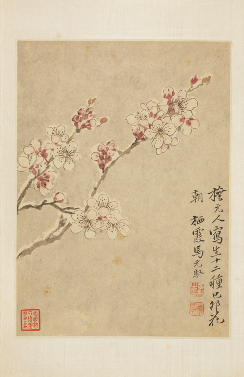 马元驭花鸟册, , Ma Yuanyu