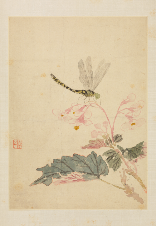 马元驭花鸟册, , Ma Yuanyu