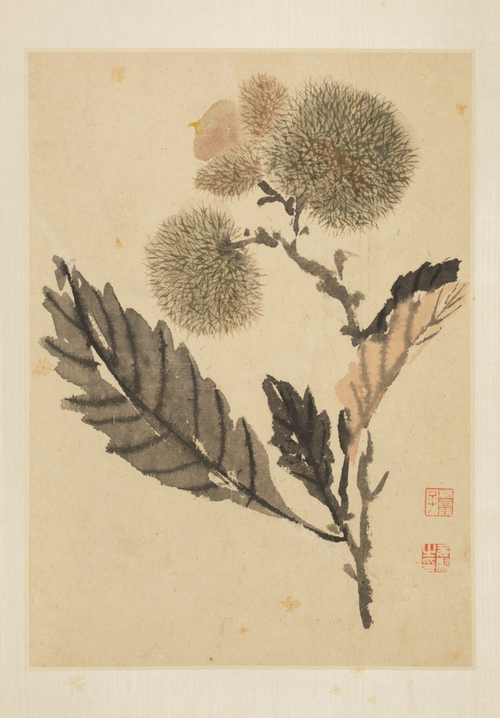 马元驭花鸟册, , Ma Yuanyu