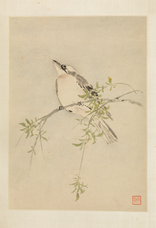 马元驭花鸟册, , Ma Yuanyu