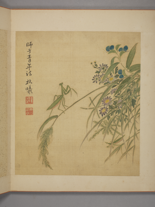 马元驭花卉册, , Ma Yuanyu