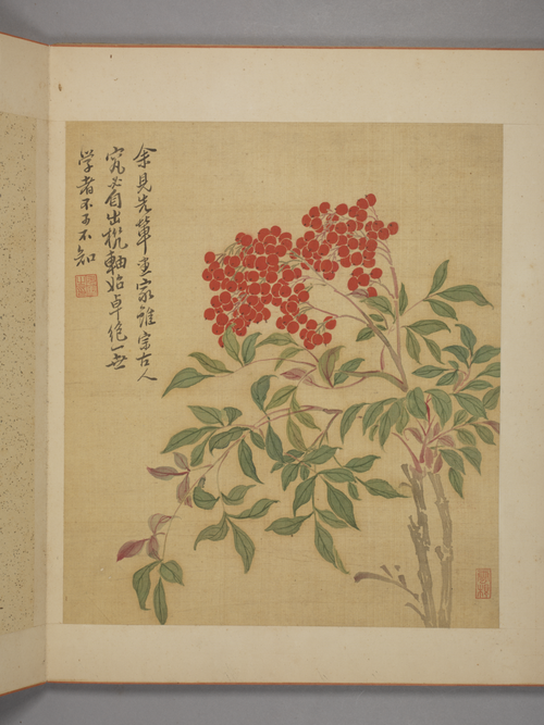 马元驭花卉册, , Ma Yuanyu