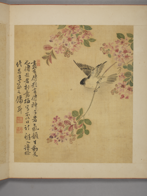 马元驭花卉册, , Ma Yuanyu