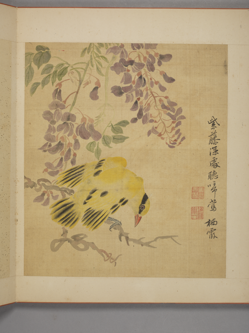 马元驭花卉册, , Ma Yuanyu