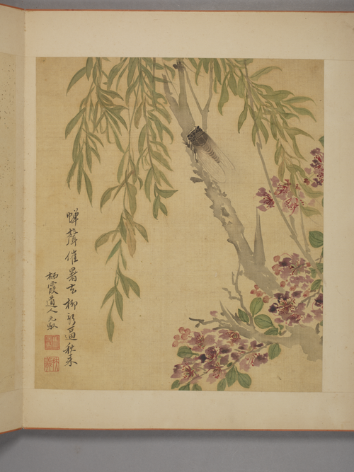 马元驭花卉册, , Ma Yuanyu