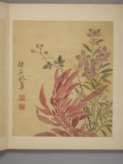 马元驭花卉册, , Ma Yuanyu