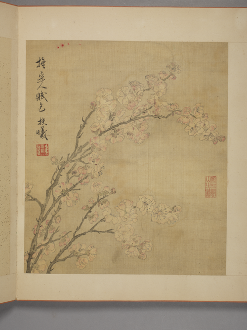 马元驭花卉册, , Ma Yuanyu