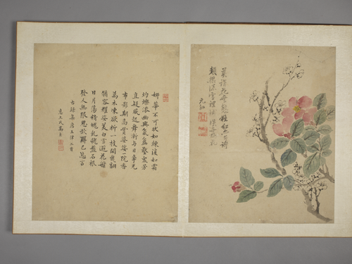 马元驭花鸟图册, , Ma Yuanyu