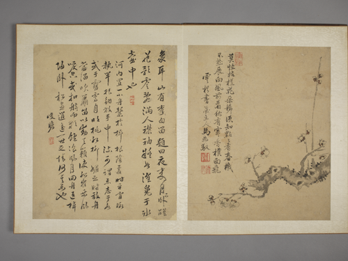 马元驭花鸟图册, , Ma Yuanyu
