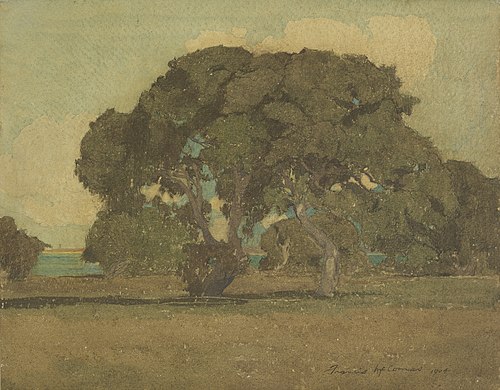 Oaks of Monterey, California, 1904, Francis McComas