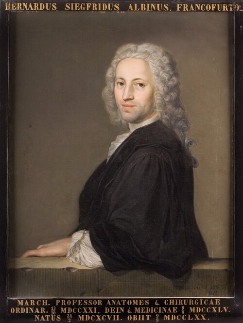 Portret van Bernhardus Siegfried Albinus, hoogleraar Ontleedkunde en Geneeskunde te Leiden, 1701, Carel Isaak Moor