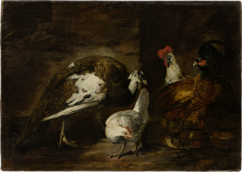 Poultry Yard with Peacock and Peahen, 1650, Mario Nuzzi