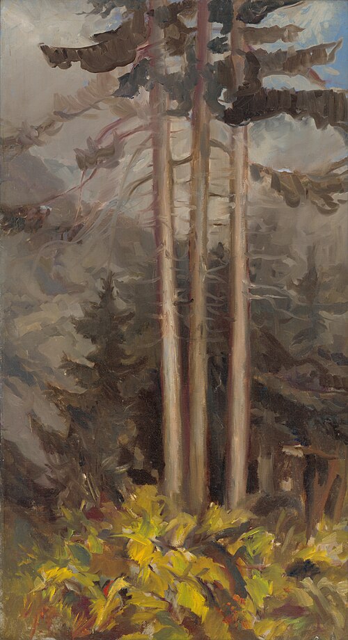 Svrčiny, 1920, Zoltán Palugyay
